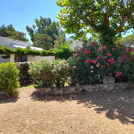 Chez Bea Lumio (Corsica) Exterior foto