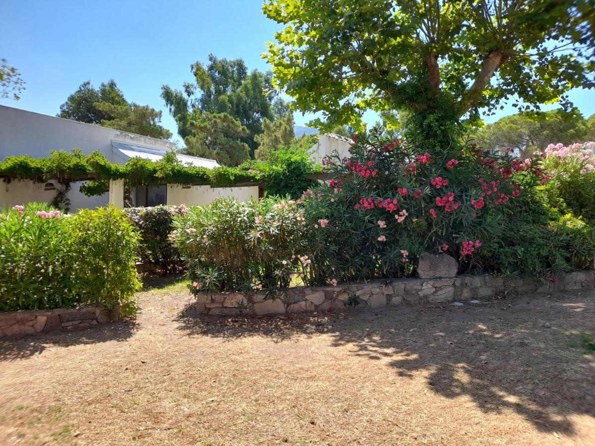 Chez Bea Lumio (Corsica) Exterior foto