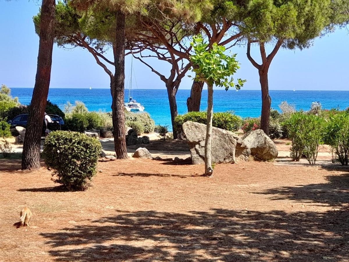 Chez Bea Lumio (Corsica) Exterior foto