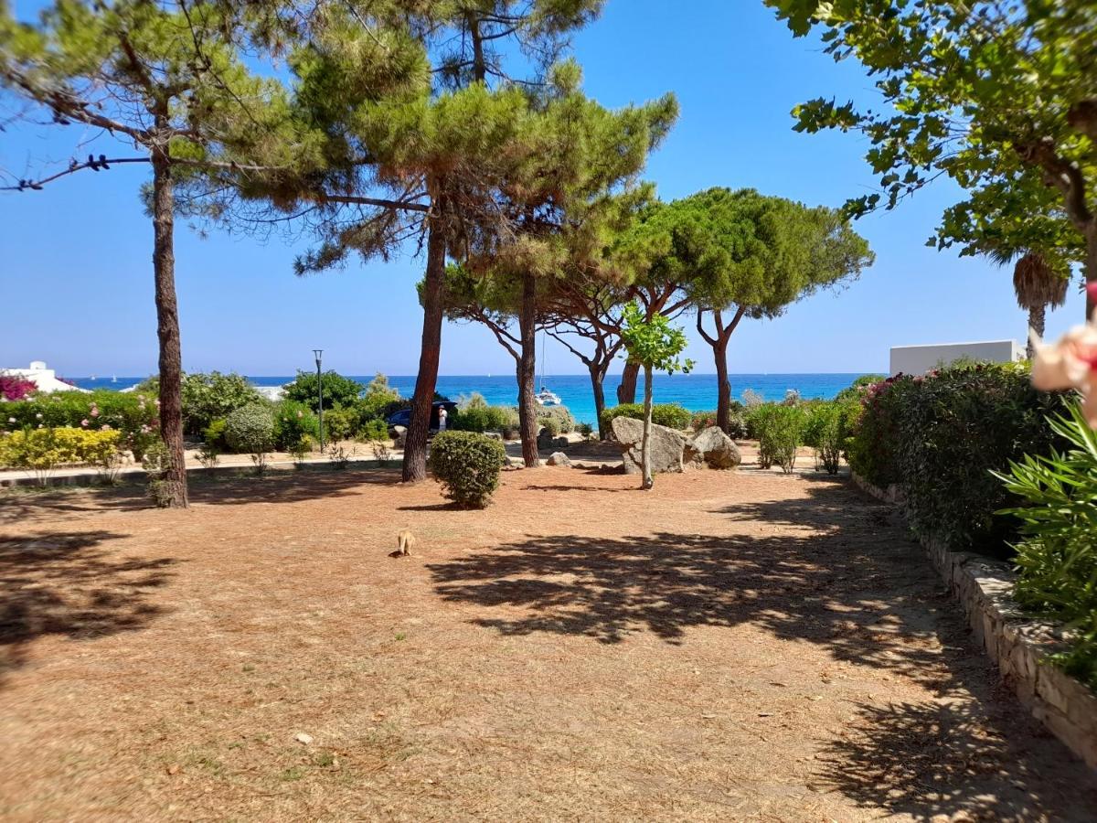 Chez Bea Lumio (Corsica) Exterior foto